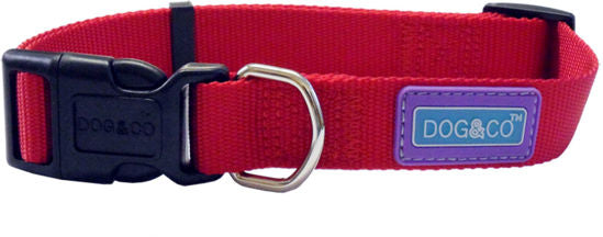 Plain Nylon Dog Collar