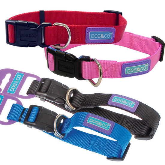 Plain Nylon Dog Collar