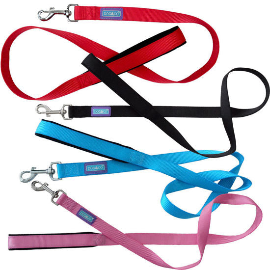 1" x 48" Padded Handle Nylon Dog Lead