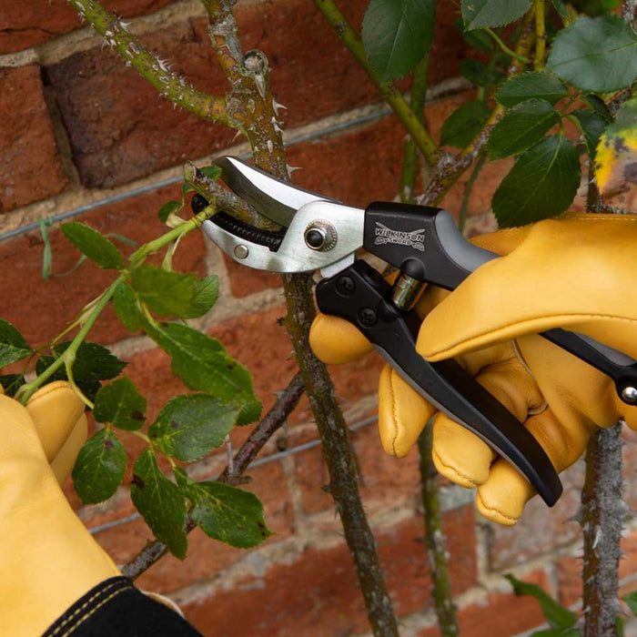 Metal Anvil Pruner