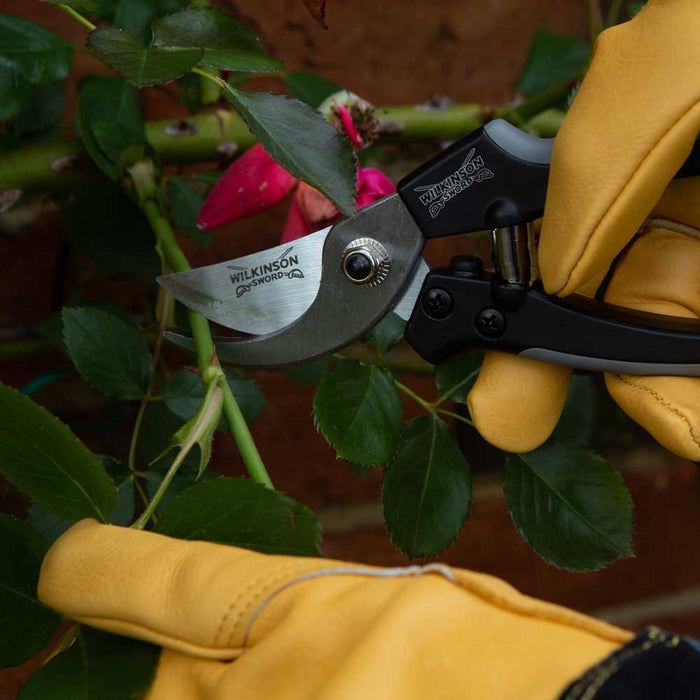 Metal Bypass Pruner
