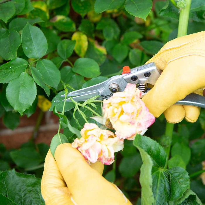 Metal Razorcut Snip Pruner