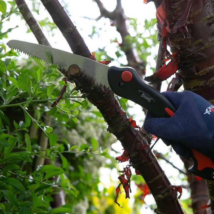 Metal Folding Saw & Pruner Set
