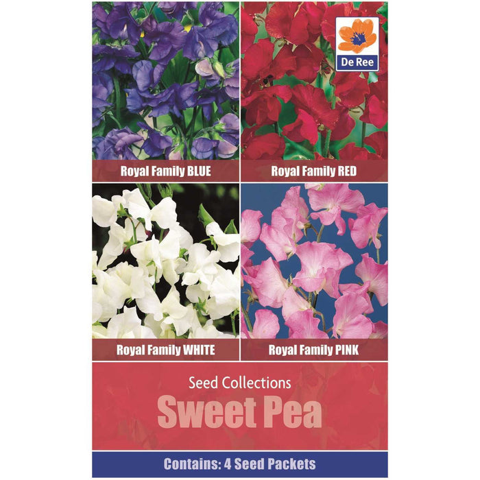 Seed Collection Sweet Pea