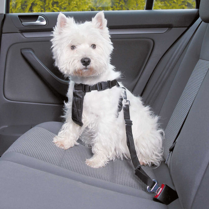 Pet Car Harness 20-90cm