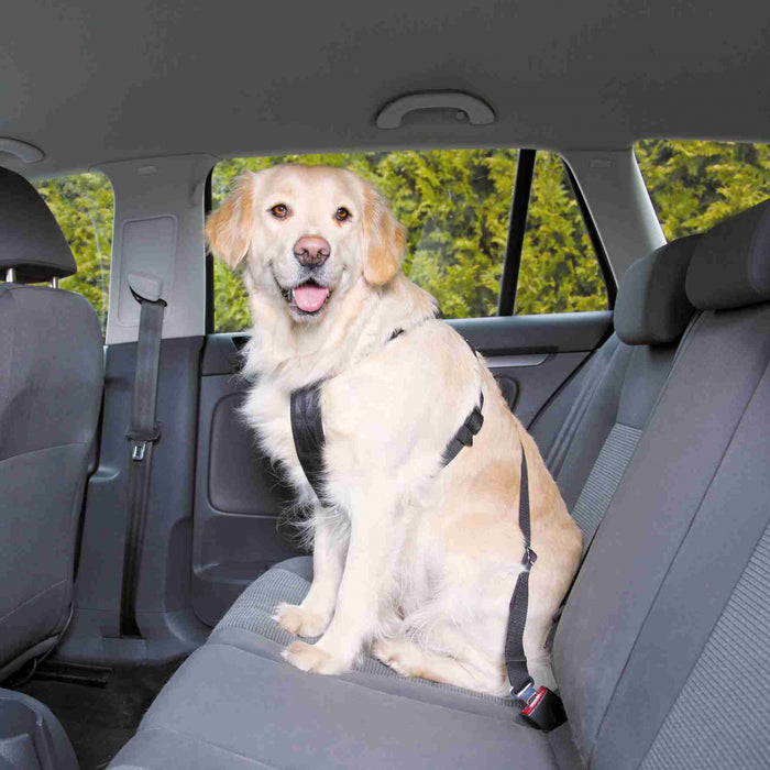 Pet Car Harness 20-90cm