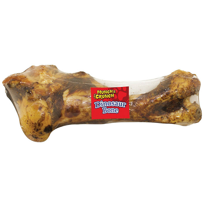 Dinosaur Bone