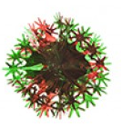 Red & Green Foil Decoration