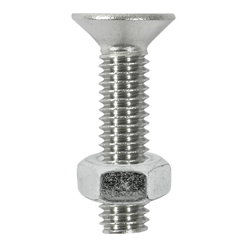 Machine Screws & Nuts ZP Slot Countersunk
