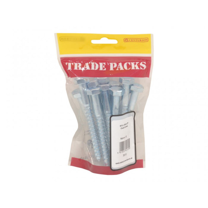 Coach Screws - ZP - M10 x 100mm (12 PK)