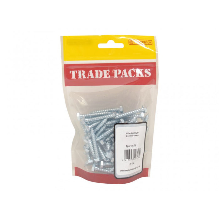 Coach Screws - ZP - M6 x 40mm (70 PK)