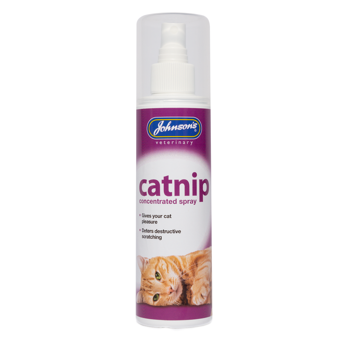 Catnip Concentrated Spray
