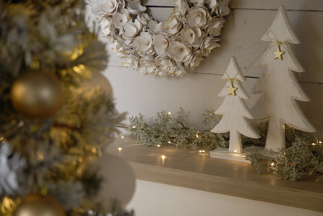 25 Battery Operated Dewdrop Lights