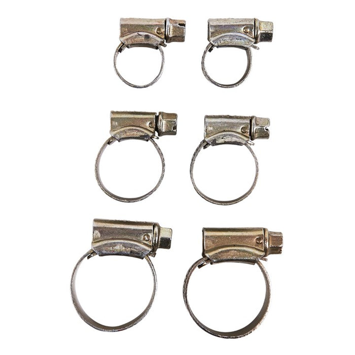 6pc Hose Clip Set