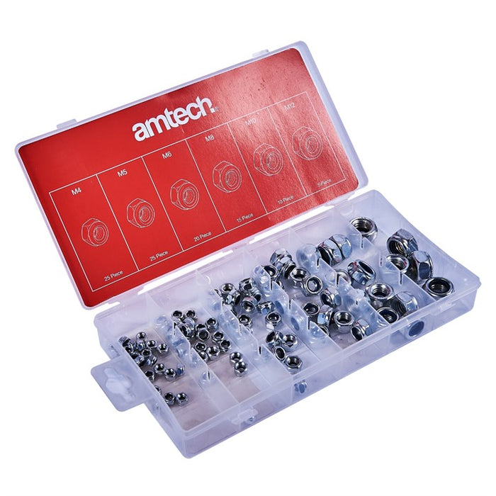 100pc Assorted Locking Nuts