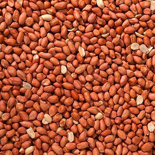 Wild Bird Hi-Energy Peanuts 400g