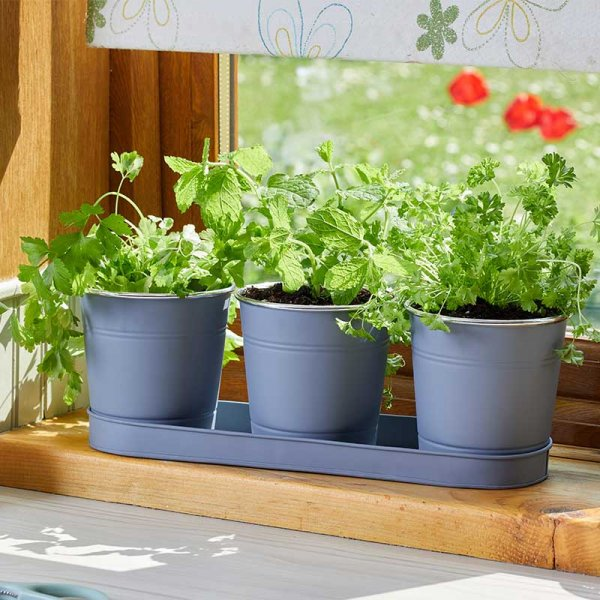 Windowsill Herb Pots