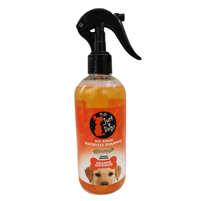 No Rinse Waterless Shampoo