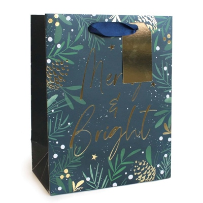 Merry & Bright Gift Bag