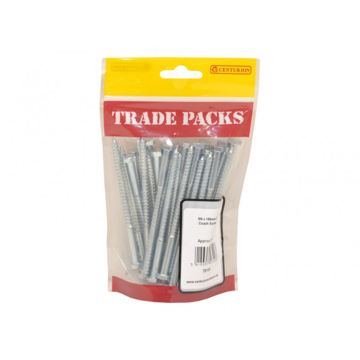 Coach Screws - ZP - M6 x 100mm (35 PK)