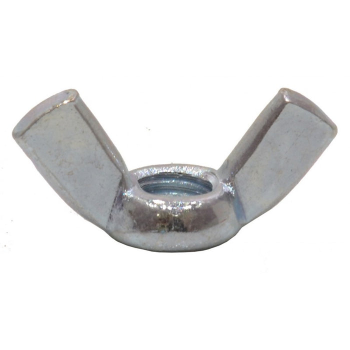 10pk Assorted Wing Nuts