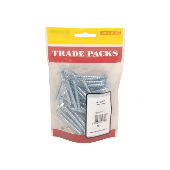 Coach Screws - ZP - M6 x 50mm (55 PK)