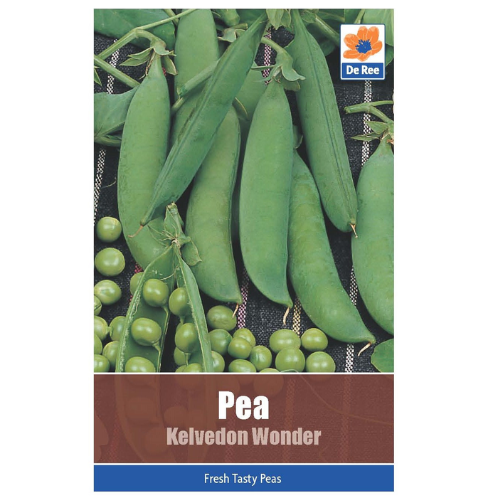 Pea Kelvedon Wonder