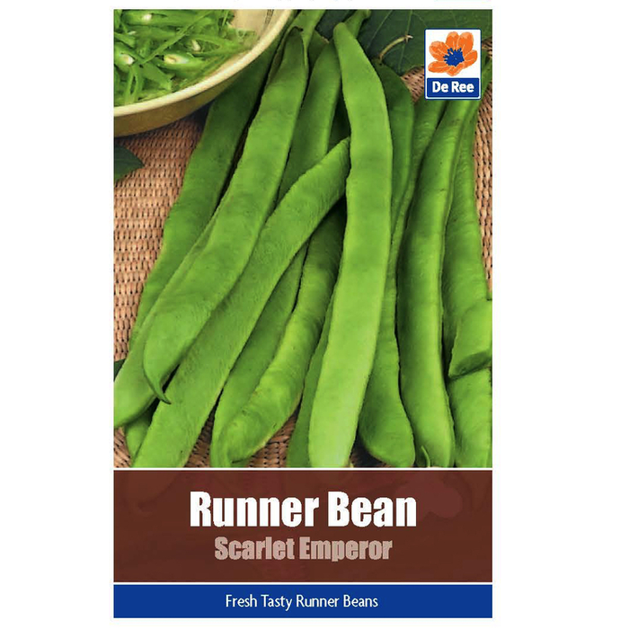 Runner Bean Scarlet Emperor