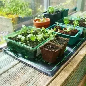 Gro-Sure 50cm Propagation mat