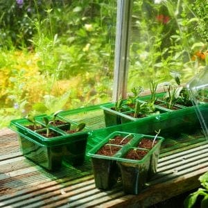 Gro-Sure Visiroot Windowsill Propagator Set