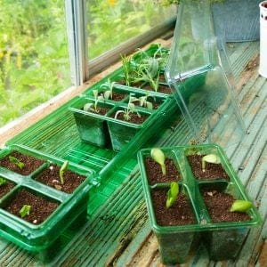 Gro-Sure Visiroot Windowsill Propagator Set