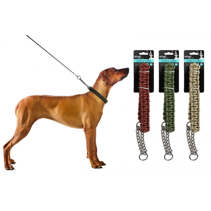 Smart Choice Walking Dog Collar M/L