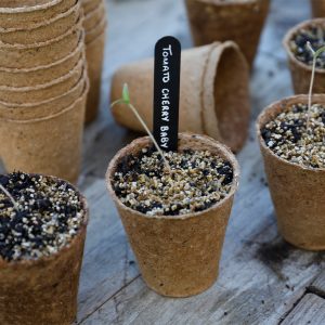 8cm Round Fibre Pots Pack Of 12