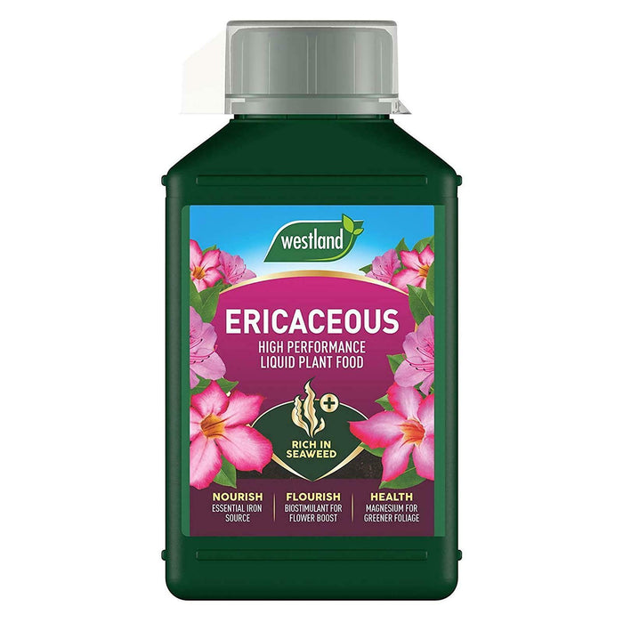 Westland Ericaceous Plant Food