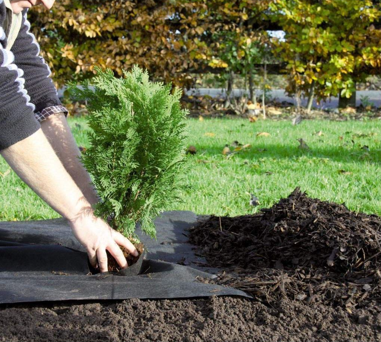 20m x 1m Weed Control Fabric Weed Guard
