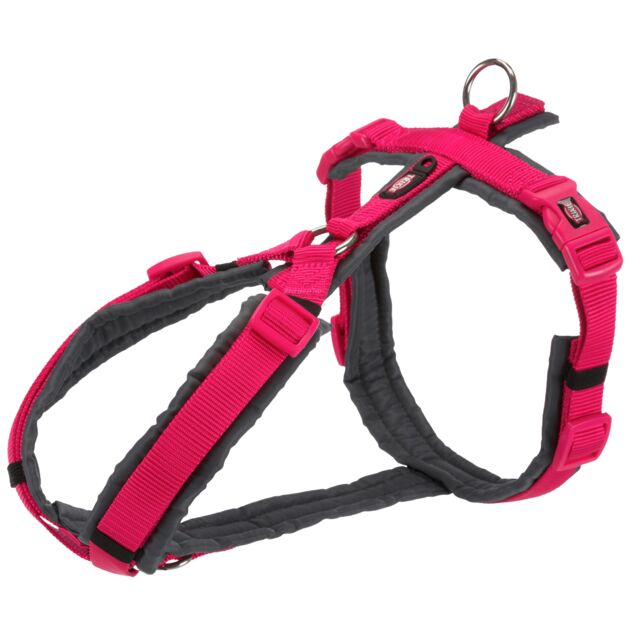 Premium Trekking Harness