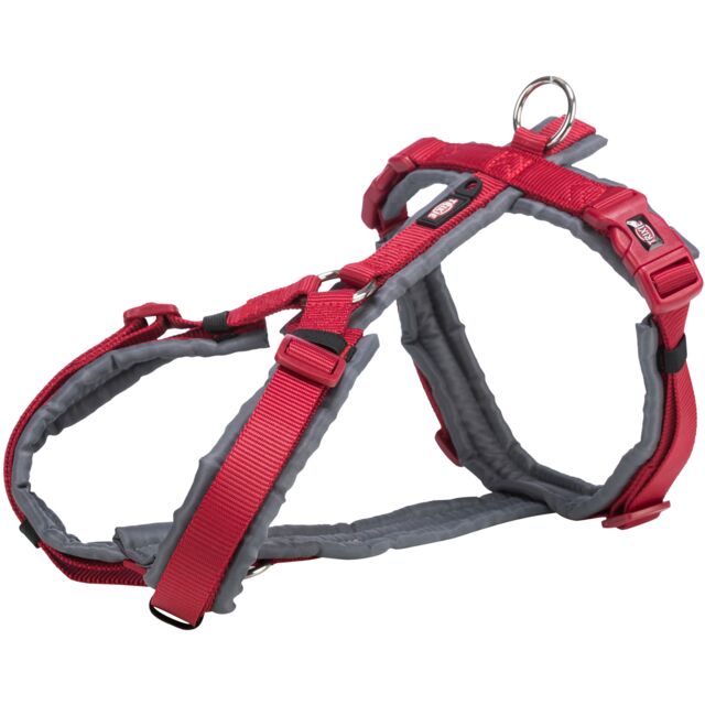 Premium Trekking Harness