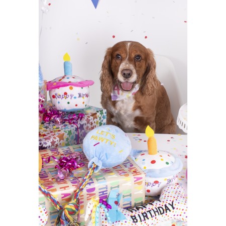 Birthday Cake Plush Dog Toy With Squeak