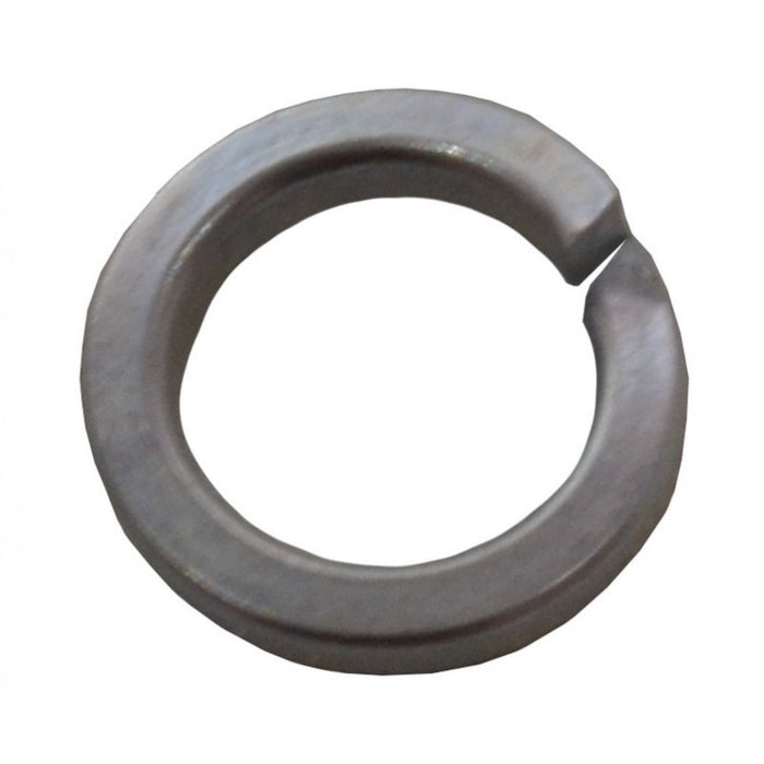 M6 ZP Spring Washers