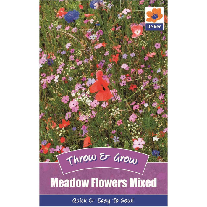 Meadow Flowers Mixed