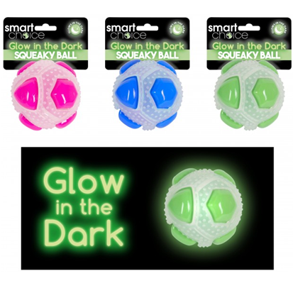 Glow In The Dark Squeaky Ball