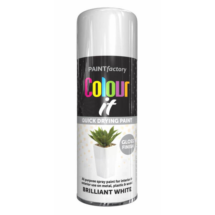 Spray Paint - 400ml Brilliant White