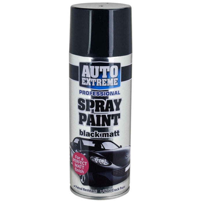 Professional Spray Paint - 400ml Black Matt