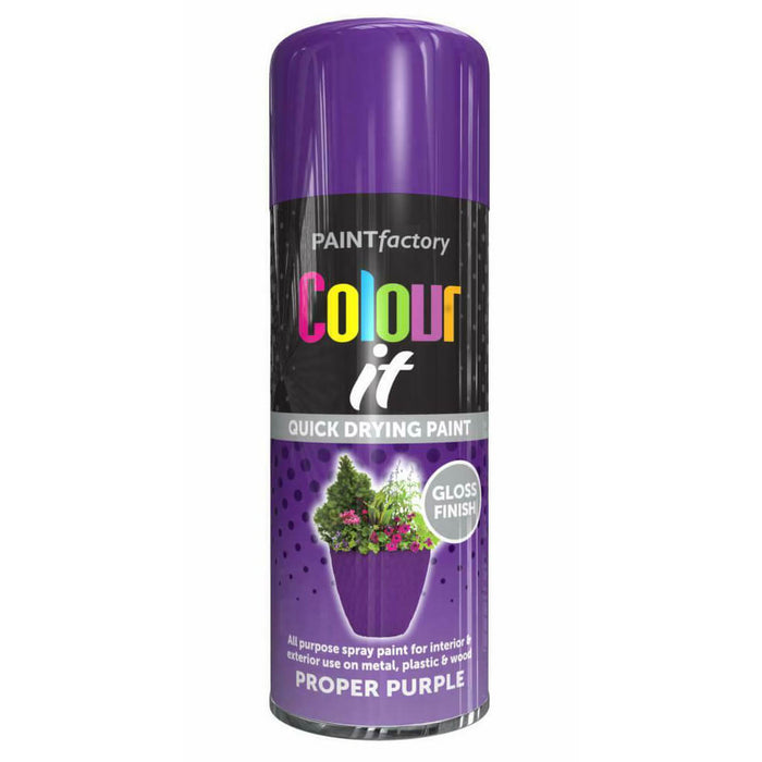 Spray Paint - 400ml Proper Purple