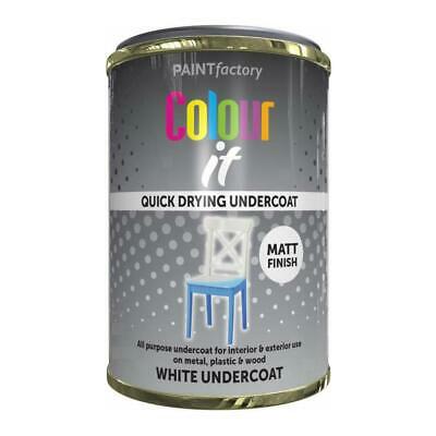 Quick Drying Paint - 300ml White Undercoat