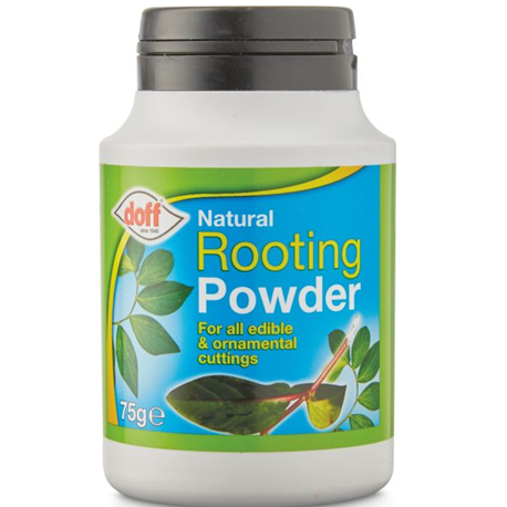 Natural Rooting Powder 75g