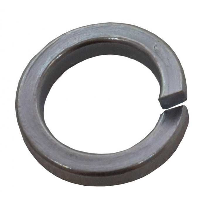 M10 ZP Spring Washers