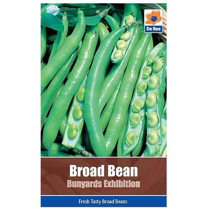 Broad Bean Bunyards Exhibition