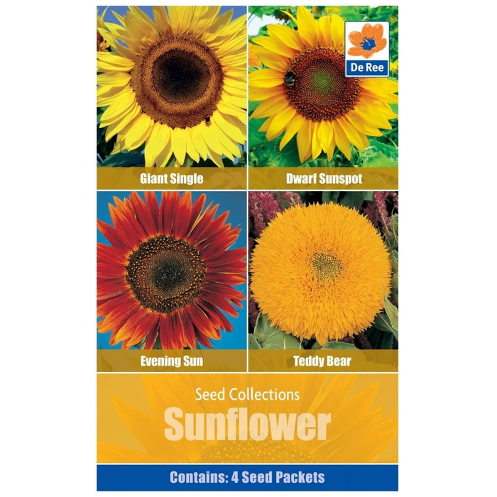 Seed Collections Sunflower