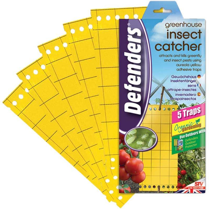 Greenhouse Insect Catchers - 5 Traps